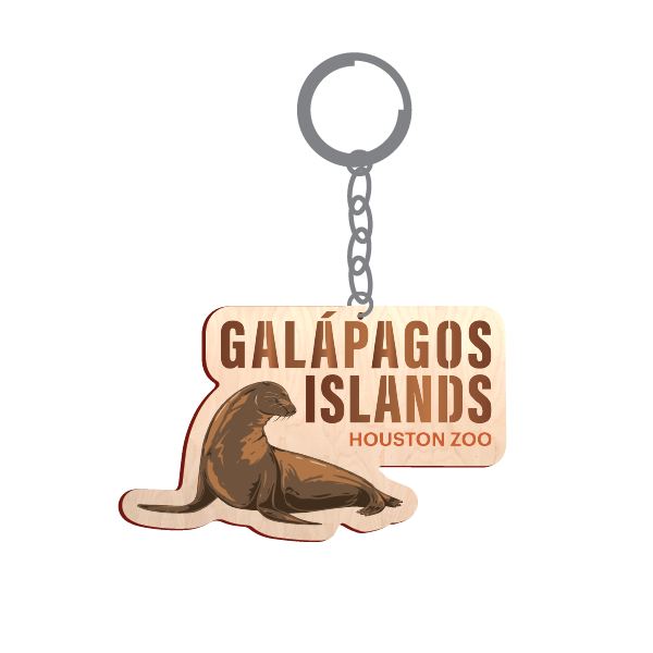 GALAPAGOS ISLANDS SEA LION KEY CHAIN